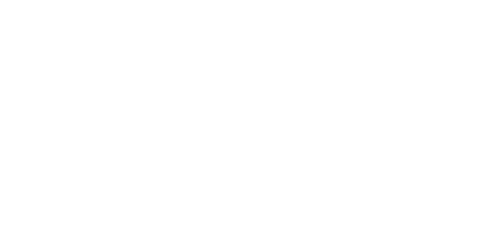 Nest Dünyası